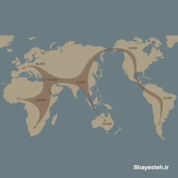 Population movements and genetics